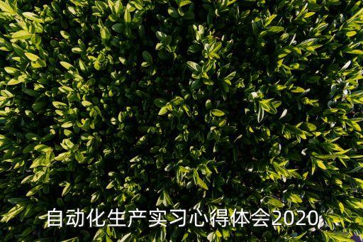 自动化生产实习心得体会2020