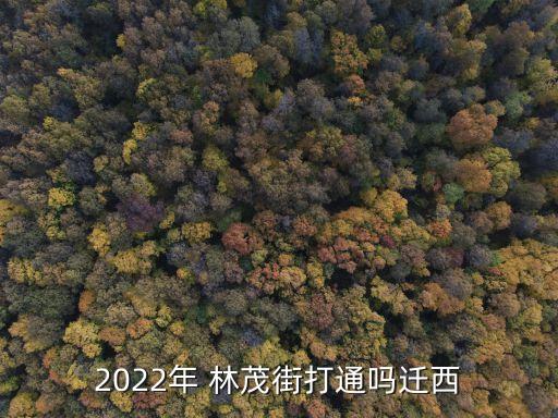 2022年 林茂街打通吗迁西