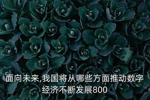 面向未来,我国将从哪些方面推动数字经济不断发展800