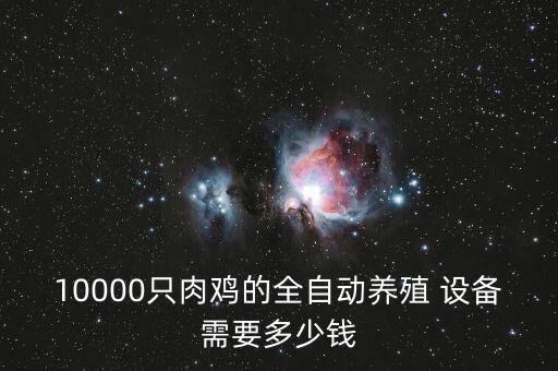 10000只肉鸡的全自动养殖 设备需要多少钱