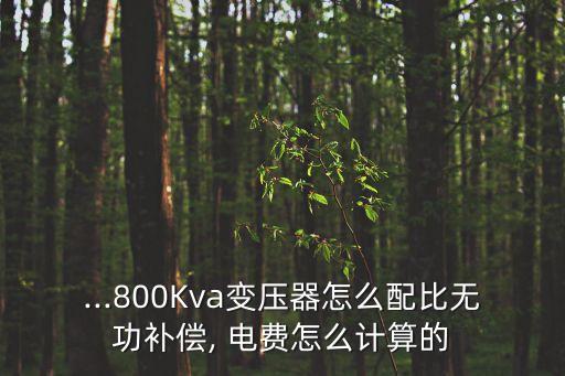 ...800kva变压器怎么配比无功补偿, 电费怎么计算的