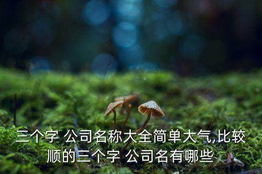 三个字 公司名称大全简单大气,比较顺的三个字 公司名有哪些