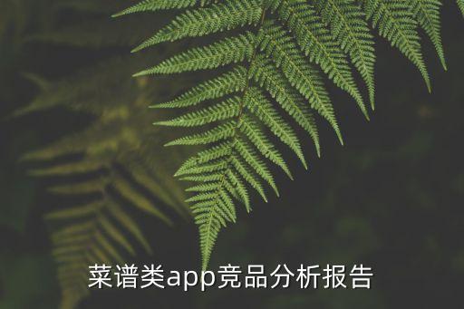 菜谱类app竞品分析报告