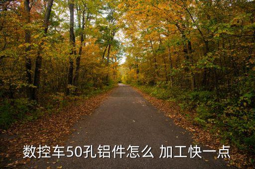 数控车50孔铝件怎么 加工快一点