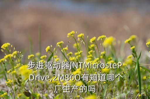 步进驱动器jntmicrostep,drive,2m86o有知道哪个厂生产的吗