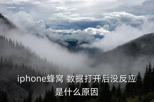 iphone蜂窝 数据打开后没反应是什么原因