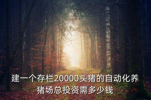 建一个存栏20000头猪的自动化养猪场总投资需多少钱