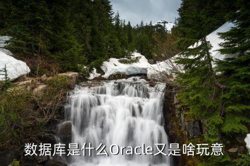 数据库是什么oracle又是啥玩意