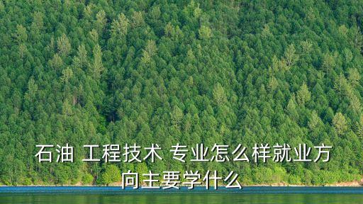 石油工程与自动化专业怎么样,中国地质大学石油工程专业怎么样