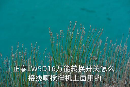 正泰lw5d16万能转换开关怎么 接线啊搅拌机上面用的