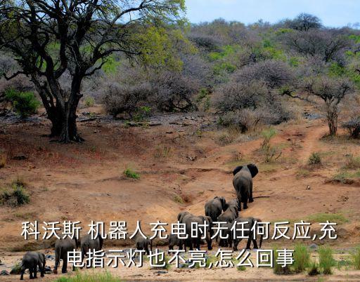 科沃斯 机器人充电时无任何反应,充电指示灯也不亮,怎么回事