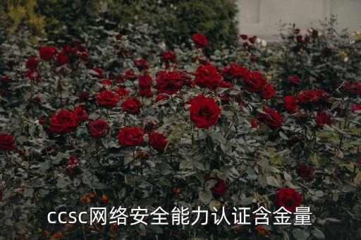 cncert,ccsrp证书有什么用?可以用来干嘛?