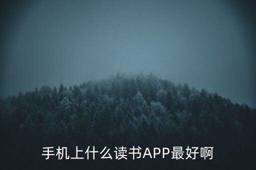 手机上什么读书app最好啊