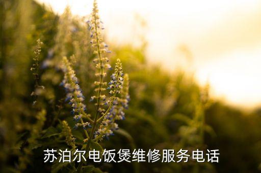  苏泊尔电饭煲维修服务电话