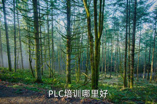 plc培训哪里好