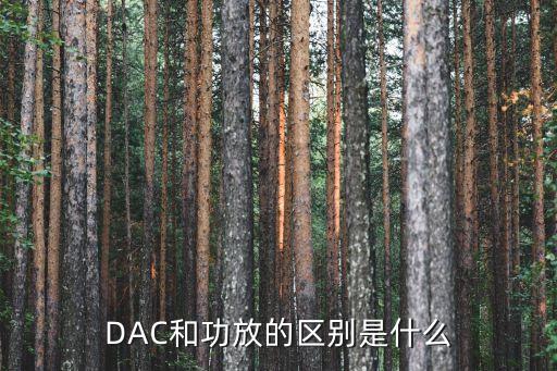 dac和功放的区别是什么