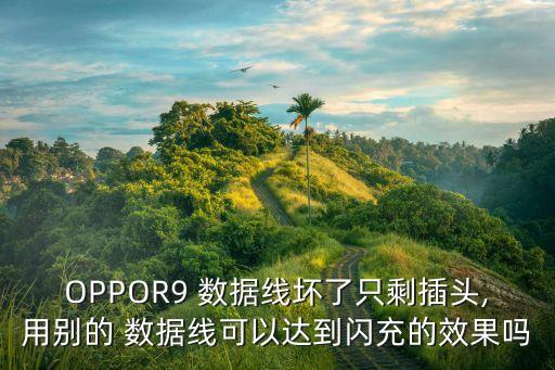 oppor9 数据线坏了只剩插头,用别的 数据线可以达到闪充的效果吗