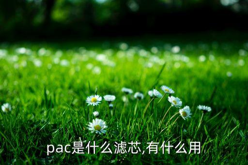 pac是什么滤芯,有什么用