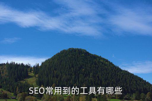 seo常用到的工具有哪些