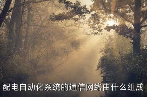 配电自动化系统的通信网络由什么组成