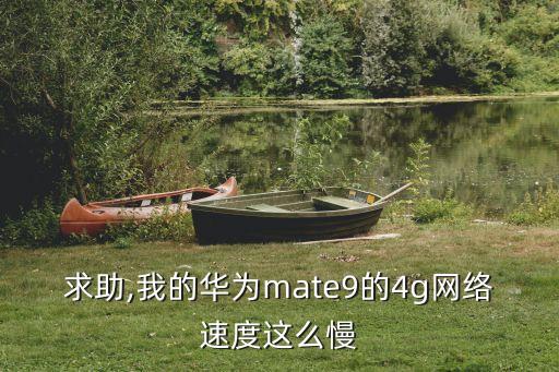 求助,我的华为mate9的4g网络速度这么慢