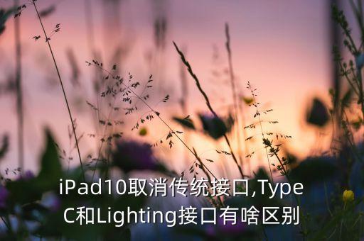 ipad10取消传统接口,typec和lighting接口有啥区别