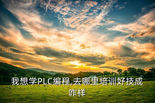 我想学plc编程,去哪里培训好技成咋样