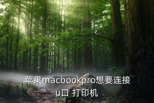  苹果macbookpro想要连接u口 打印机