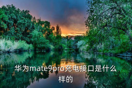 华为mate9pro充电接口是什么样的