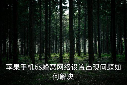 苹果手机6s蜂窝网络设置出现问题如何解决