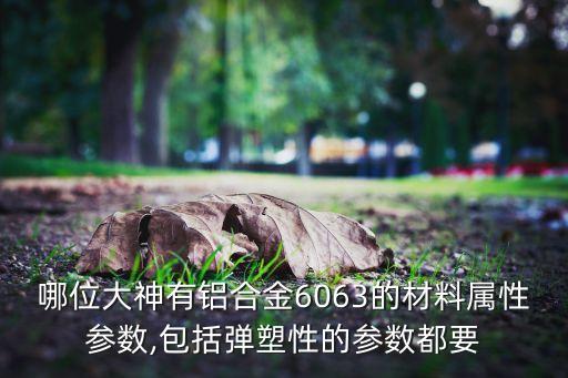 哪位大神有铝合金6063的材料属性参数,包括弹塑性的参数都要