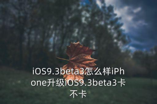 ios9.3.5蜂窝数据卡吗