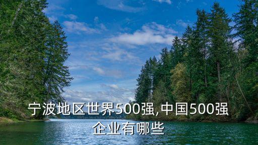 宁波地区世界500强,中国500强企业有哪些