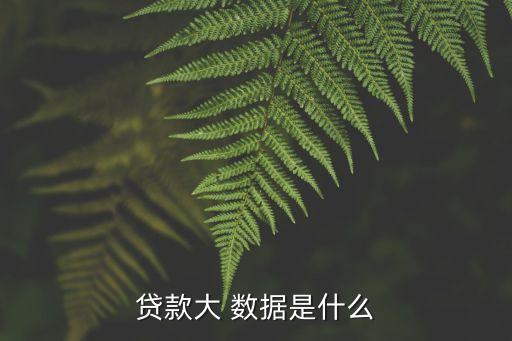 贷款大 数据是什么