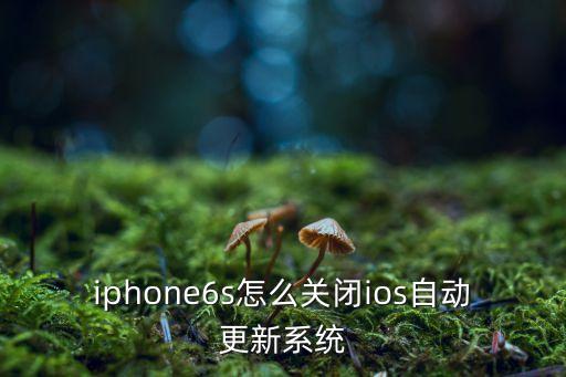 iphone6s怎么关闭ios自动更新系统