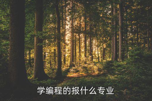 学编程的报什么专业