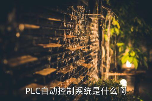 plc自动控制系统是什么啊