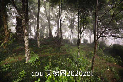  cpu 天梯图2020zol