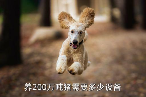 养200万吨猪需要多少设备