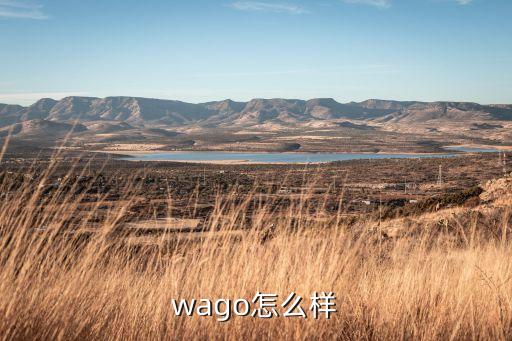 wago怎么样