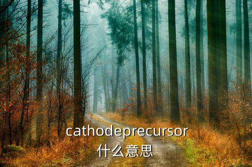  cathodeprecursor什么意思