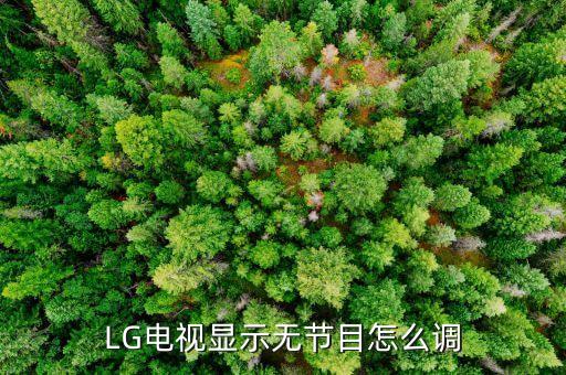 lg电视显示无节目怎么调