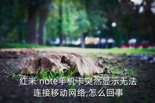 红米note数据连接不上