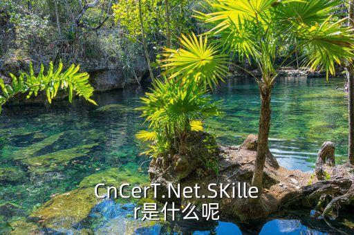 cncert.net.skiller是什么呢