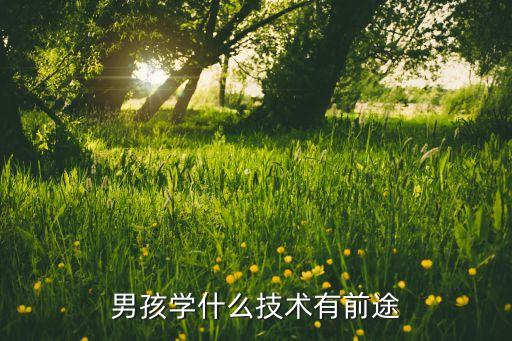 男孩学什么技术有前途