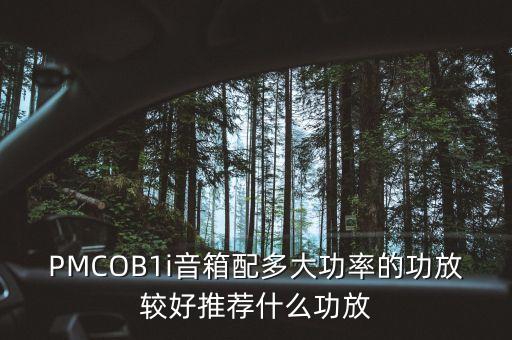 pmcob1i音箱配多大功率的功放较好推荐什么功放