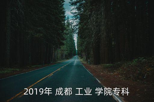 2019年 成都 工业 学院专科