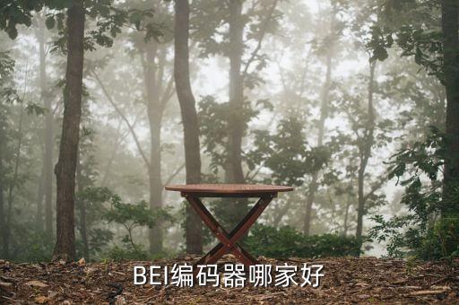 bei编码器哪家好