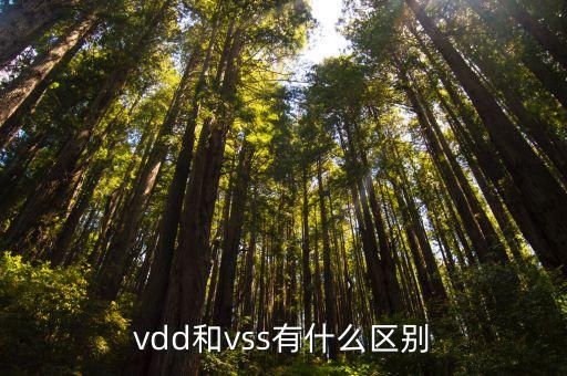 vdd和vss有什么区别