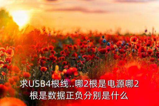 求usb4根线..哪2根是电源哪2根是数据正负分别是什么